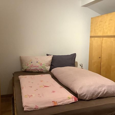 Ferienwohnung Apartment Doppelzimmer In Der Villa Naturpark Rheinblick, Ruhig, Aussicht, Pool Coblenza Esterno foto