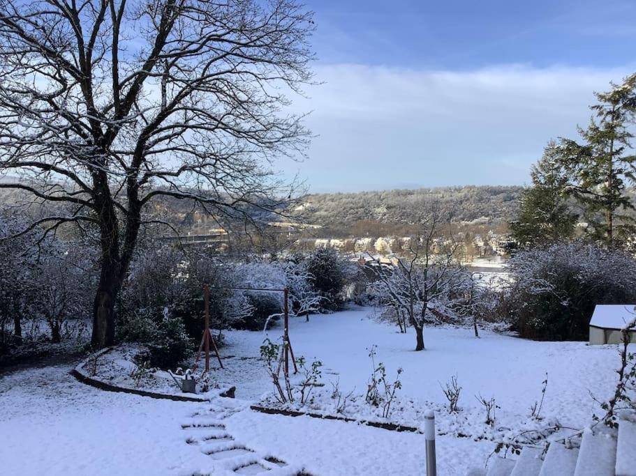 Ferienwohnung Apartment Doppelzimmer In Der Villa Naturpark Rheinblick, Ruhig, Aussicht, Pool Coblenza Esterno foto