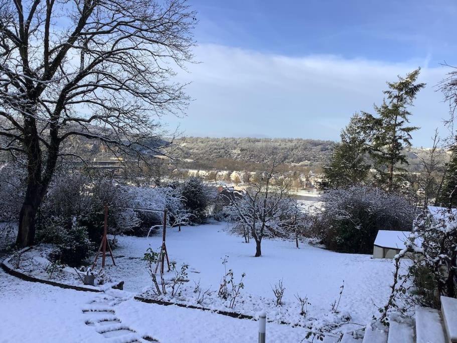 Ferienwohnung Apartment Doppelzimmer In Der Villa Naturpark Rheinblick, Ruhig, Aussicht, Pool Coblenza Esterno foto