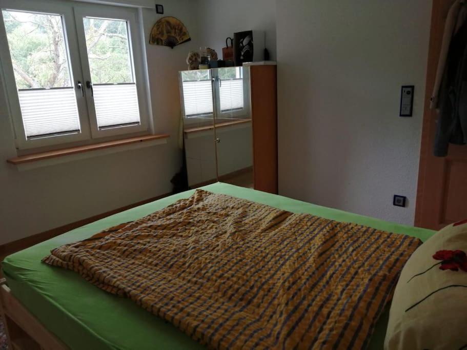 Ferienwohnung Apartment Doppelzimmer In Der Villa Naturpark Rheinblick, Ruhig, Aussicht, Pool Coblenza Esterno foto