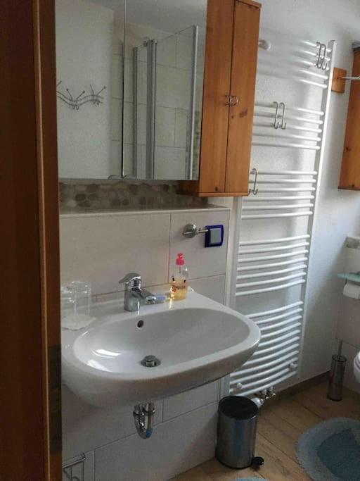 Ferienwohnung Apartment Doppelzimmer In Der Villa Naturpark Rheinblick, Ruhig, Aussicht, Pool Coblenza Esterno foto